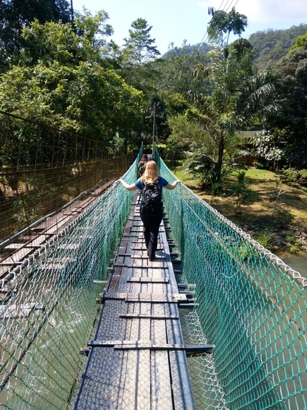 Woman crossing a narrow suspension bridge over a river in a tropical forest, wearing a backpack
